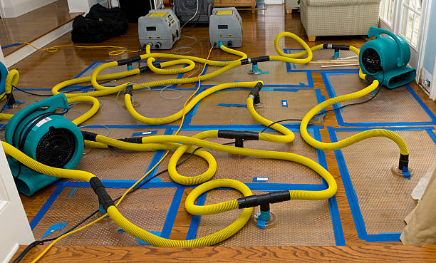 Professional Storm Water Damage Restoration technician working in Grove City, PA