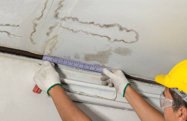 Affordable Water Damage Repair solutions in Grove City, PA